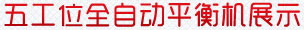 五工位全自動(dòng)平衡機(jī)展示 五工位全自動(dòng)平衡機(jī)展示